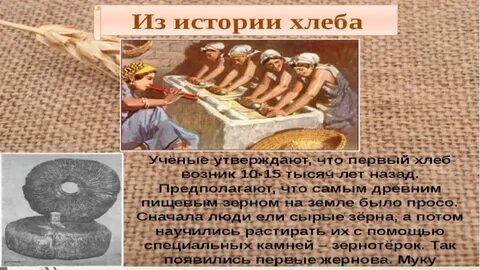 В каком году стали использовать