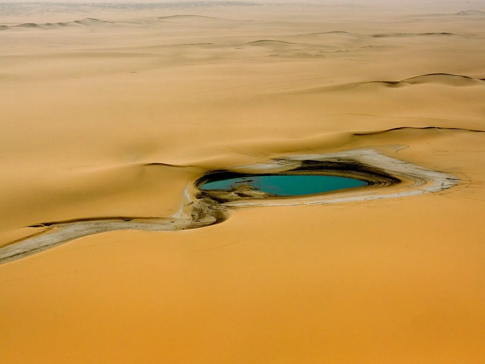 Вода в пустыне 5. Вода в пустыне 5. Вода в пустыне 5. Пустыня сахара оазис. Высушивание воды пустыня.