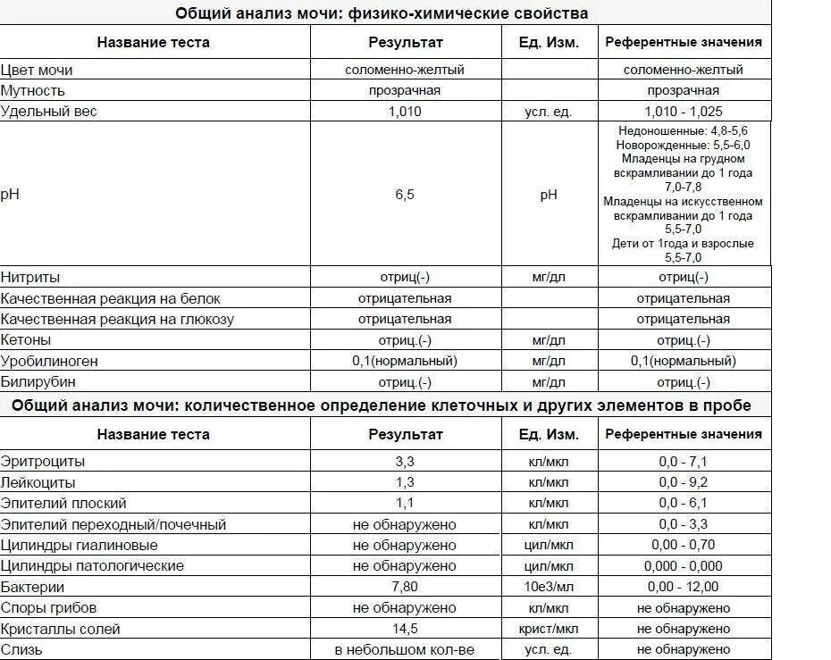 Бактерии в моче после лечения. Бактерии в моче ОАМ норма. Анализ мочи расшифровка бактерии норма. Общий клинический анализ мочи бактерии выше нормы. Анализ мочи расшифровка у женщин бактерии норма.