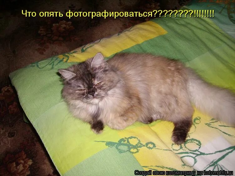 Устала вообще