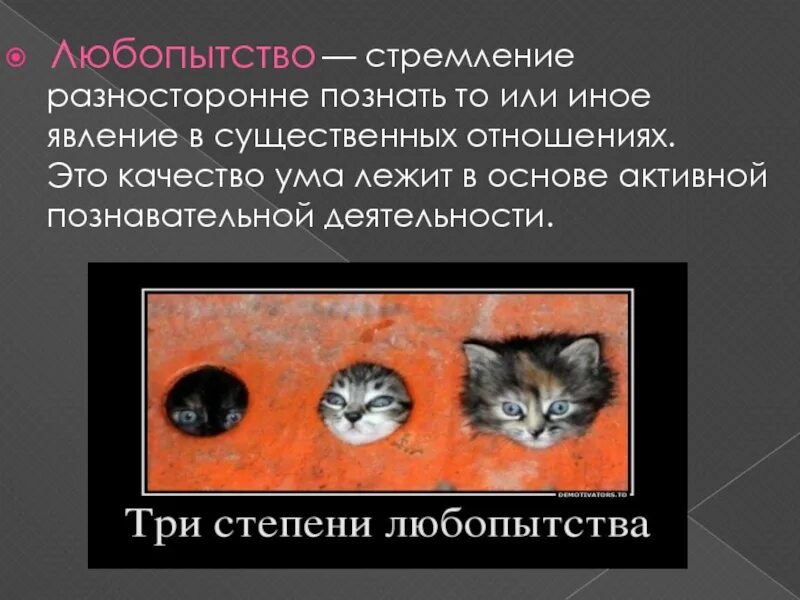 Дать определение любознательность. Любопытство это в психологии. Три степени любопытства. Любопытный. Любопытство примеры из жизни.