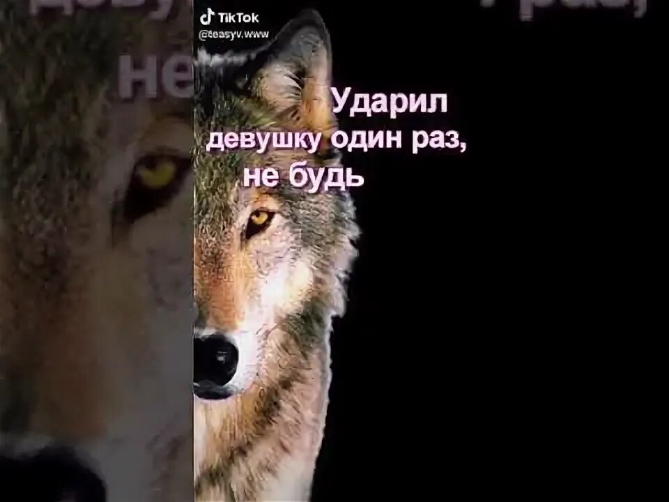 Волк с пальцем вверх. Добрый волк. Цитаты волка. Все мои волки делают аф. Ауф волки песня.