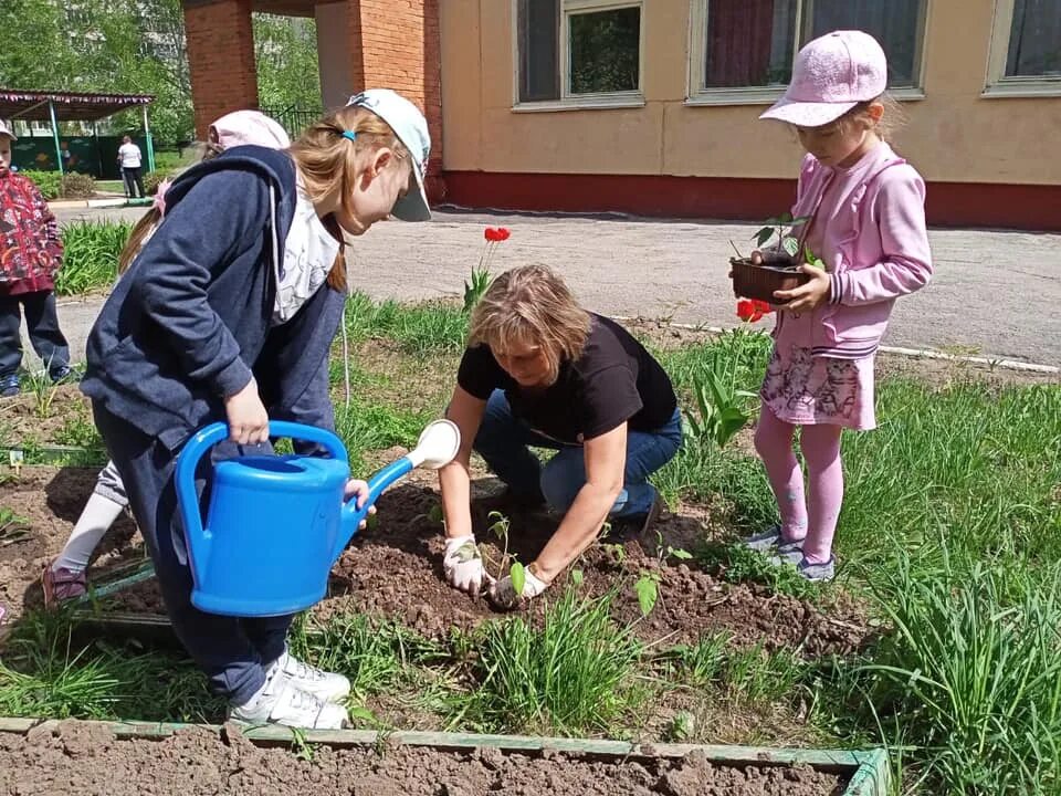 Наблюдения на огороде старшая группа. Труд в огороде. Труд детей на огороде. Наблюдение и труд в природе Мазурина. Работники на огород Уссурийск.