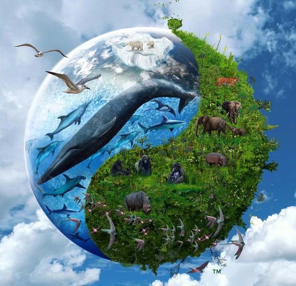 Ecology planet. Защита природы. Окружающая среда. Планета земля экология. Природа земли.