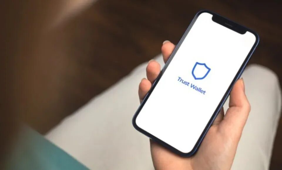 Connect your wallet and withdraw your hmstr. In crypto we trust logo. trust wallet with money. trust wallet with money fake.