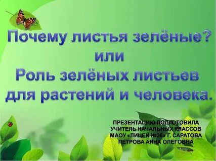 Растения 3 класс 21 век презентация