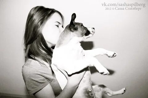 Тест какая ты собака по фото. Аня и ее собака ответы. Терри (собака). Аня и ее собака ответы. Аня и ее собака ответы.