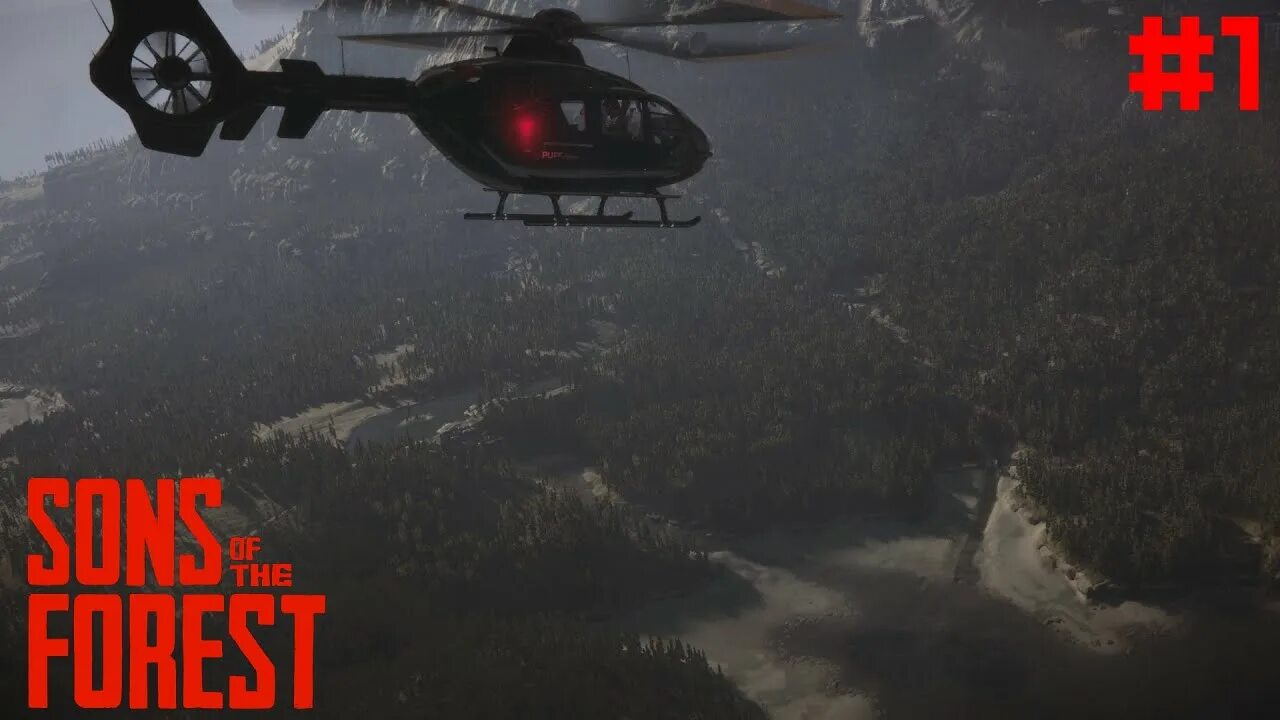 Вирджиния из sons of the forest. Вертолет sons of the forest. Вирджиния из игры sons of the forest. Вертолет sons of the forest. Sons of the forest 2.