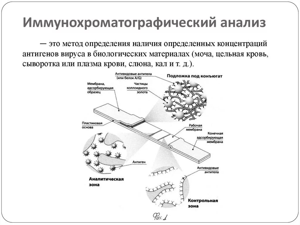 Иммунохроматографический метод микробиология. Иммунохроматографический метод исследования микробиология. Иммунохроматографический анализ принцип метода. Иммунохроматографический анализ преимущества и недостатки.