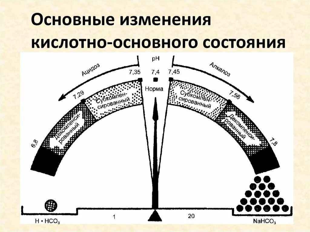 Кислотная точка. Кислотно-основное равновесие. Кислотно-основное равновесие организма. Нарушение кислотно-основного равновесия. Кислотно-основное равновесие в многокомпонентных системах..