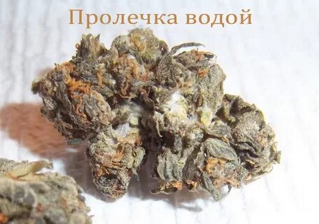 Пролечка звук