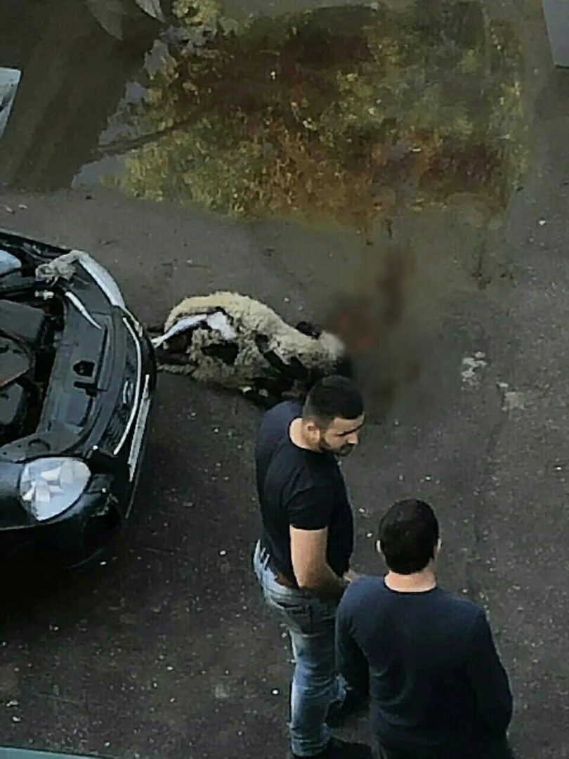 Подслушано в павлове вконтакте. Происшествия в Павлово Нижегородской области. Авария в Павлово Нижегородской области. Происшествия в Нижегородской обл Павлово. Авария в Павлово Нижегородской области сегодня.