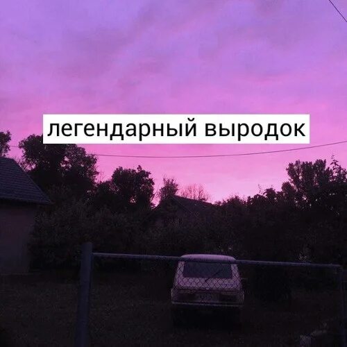Называет выродком
