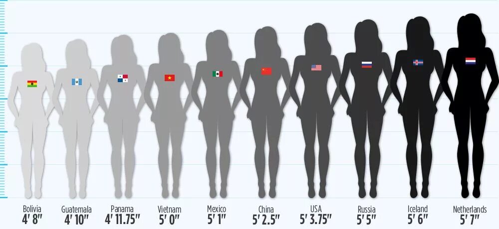 Сравнения женщин. Средняя по росту девушка. Средний размер женщины. Рост женщины. Параметры среднего женского роста.