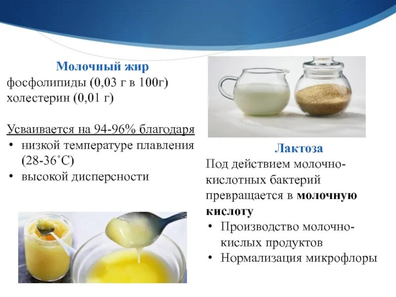 Какой жир усваивается. Молочный жир. жир в молоке. молочный жир молока. молочный жир в молоке.