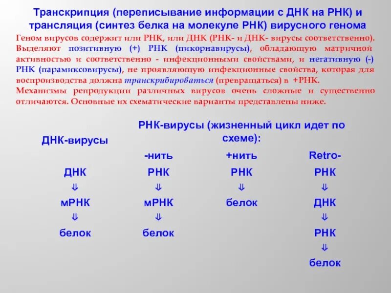 Вирусный транскрипция. Вирусы РНК И ДНК транскрипция. Транскрипция информация ДНК. Процесс переписывания информации с ДНК на и-РНК. Транскрипция процесс переписывания информации с ДНК на и-РНК.