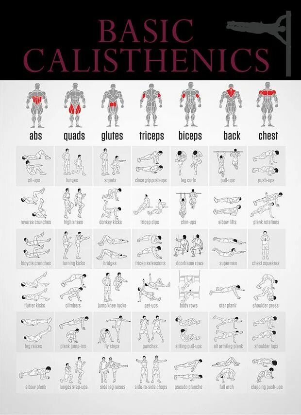 Basic exercises