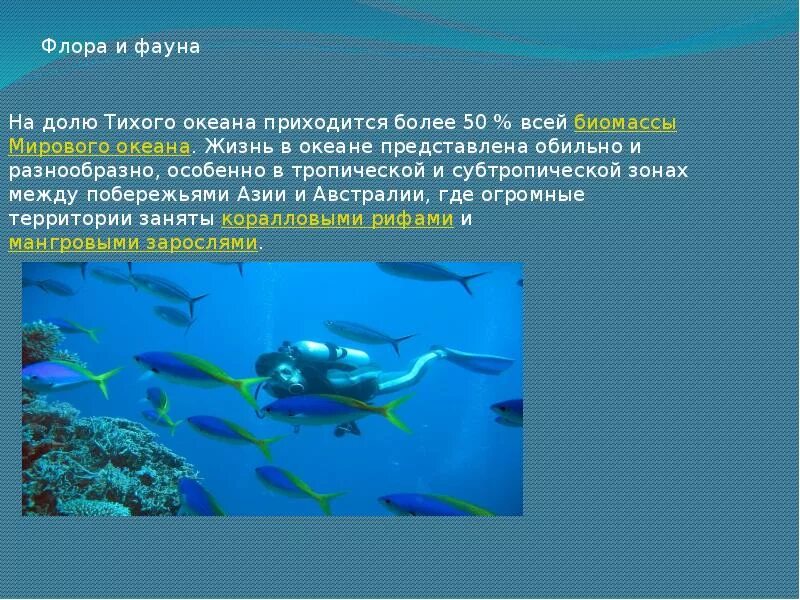 Интересные факты об океане. Презентация на тему океаны. Тихий океан презентация. Океан для презентации. Рассказ про океан.