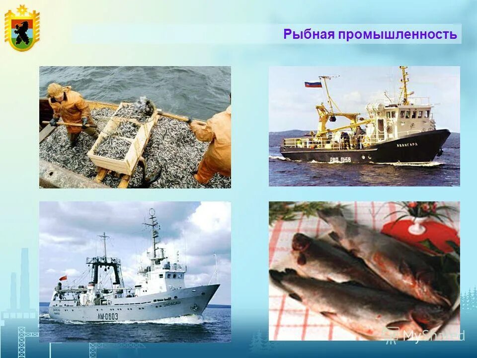 Рыбная промышленность является отраслью специализации. Отрасли экономики Карелии. Отрасли рыбной промышленности. Презентация по теме Рыбная промышленность. Рыбная промышленность в Карелии.