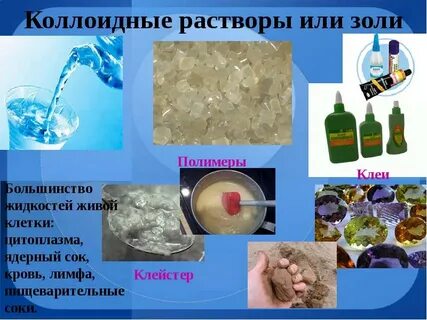 Коллоидные системы клетки