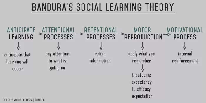 Learned societies. Social Learning Theory. Bandura social Learning. Social cognitive Theory Bandura. Social cognitive Theory Bandura модель.