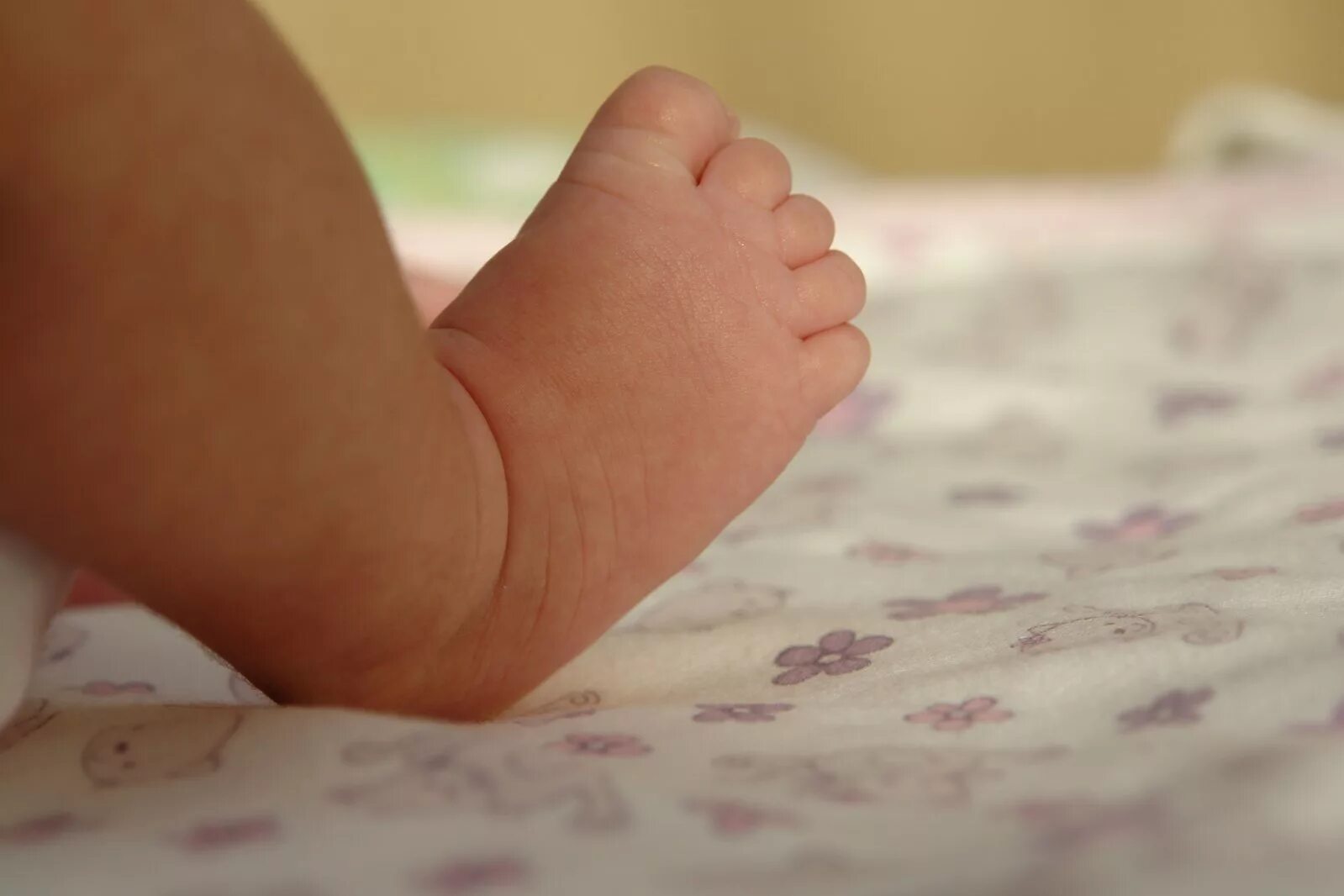 Ножки в 6 месяцев. Ноги младенца. Ножки 3 месячного ребенка. Ножки грудничка в 3 месяца.