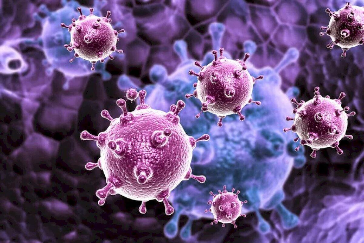 Immune System and Foreign Invaders : Bacteria and Viruses Ebern designs, Gallery