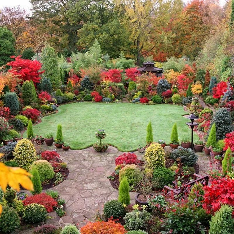 Декоративные растения в саду и огороде. Осенний ландшафт. Осенние цветники в ландшафте. Осень сад ландшафт. Сад ньютонов