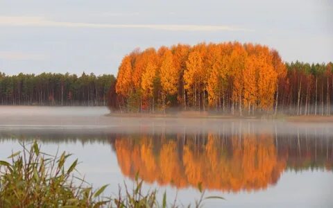 Лесные озера осенью