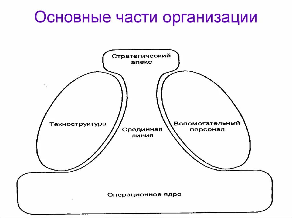 Часть учреждения 5. Морфология организации по Минцбергу.