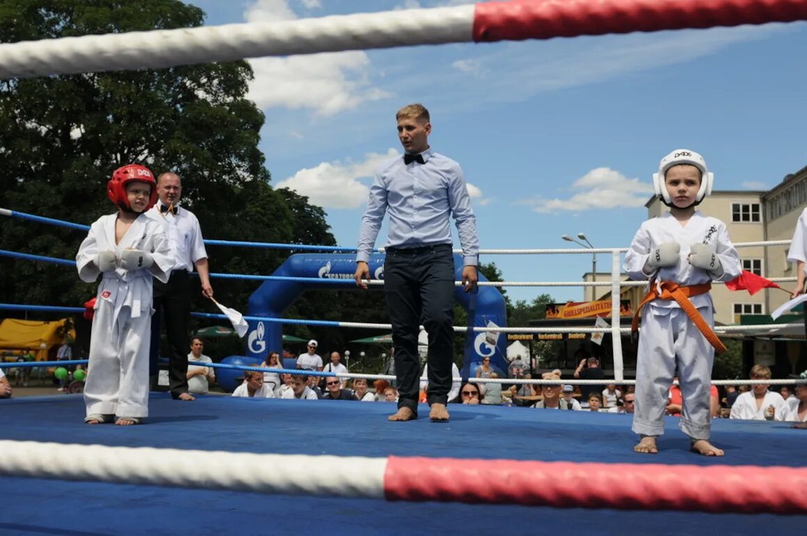 Team dignitas dreamhack 2014. Navi dreamhack 2014. Турниры для начинающих. Турниры для начинающих. Турниры для начинающих.