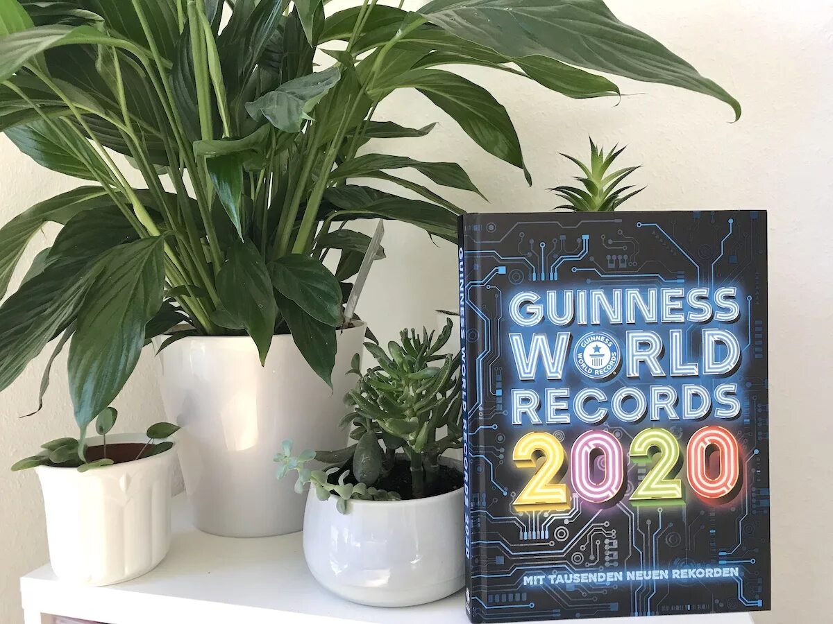 2020 records. Мировой рекорд гения книги. Guinness book 2020. Книга рекордов гиннесса книга. 2020 records.