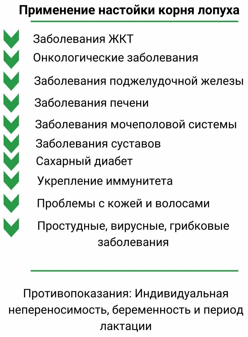 Корень лопуха противопоказания к применению