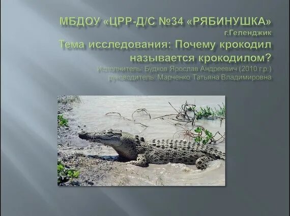 Почему крокодила назвали крокодилом. Почему крокодилов так называют. вымершие крокодилы название. почему крокодил называется крокодилом.
