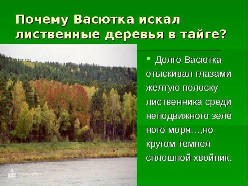 Как выбраться из тайги