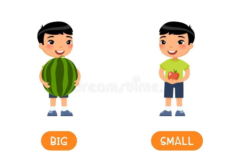 Карточки big small. Big small для детей. Карточки opposites. Opposites для детей.