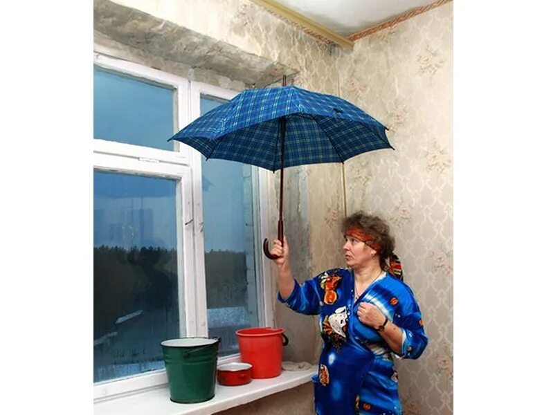 протекает крыша. течет крыша управляющая. протекает кровля. течет крыша управляющая. течет крыша управляющая.