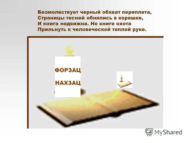 форзац и нахзац книги. форзац и нахзац. форзац и нахзац. задний форзац. форзац обложки.