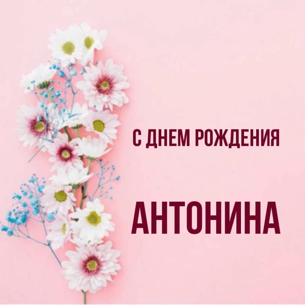 Цветы для Антонины. День рождения Антонины.