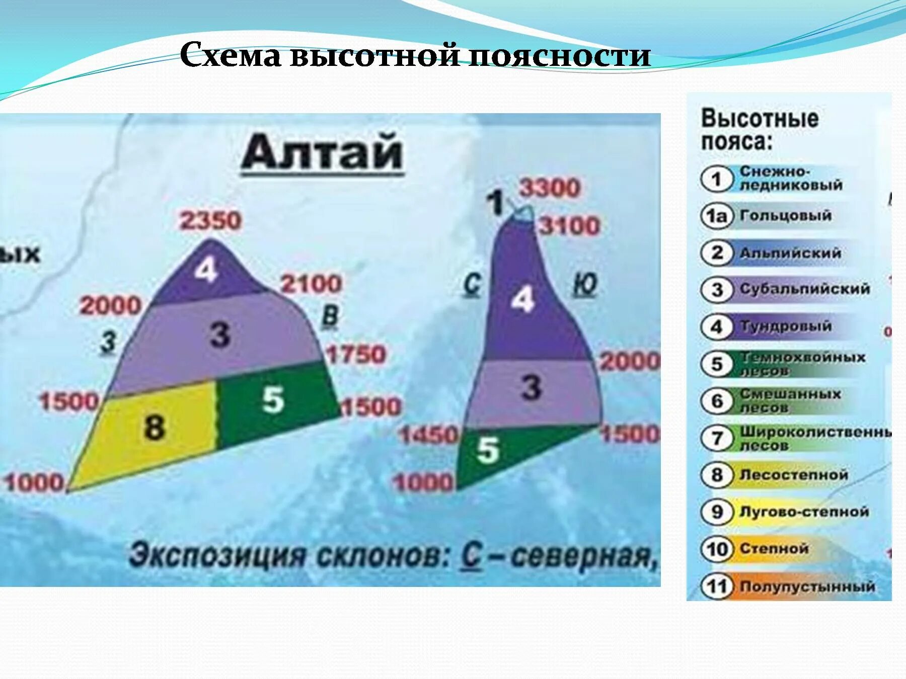 Различия высотной поясности в горах. Высотная поясность Южного Урала. Южный Алтай Высотная поясность. Высотная поясность гор России таблица. Высотная поясность Кавказа 8 класс география.