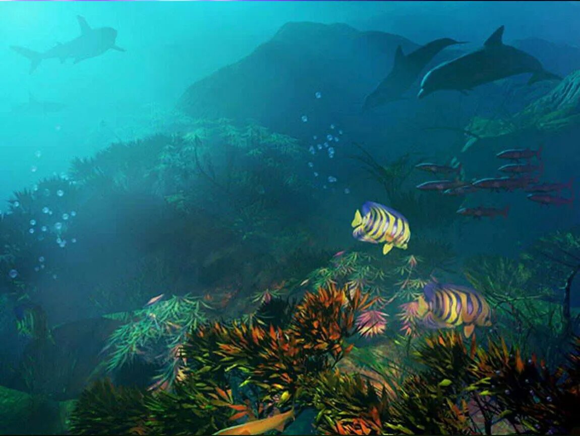 Подводные пейзажи. Подводные пейзажи океана. Морской пейзаж под водой. Подводный мир глубин морей и океанов.