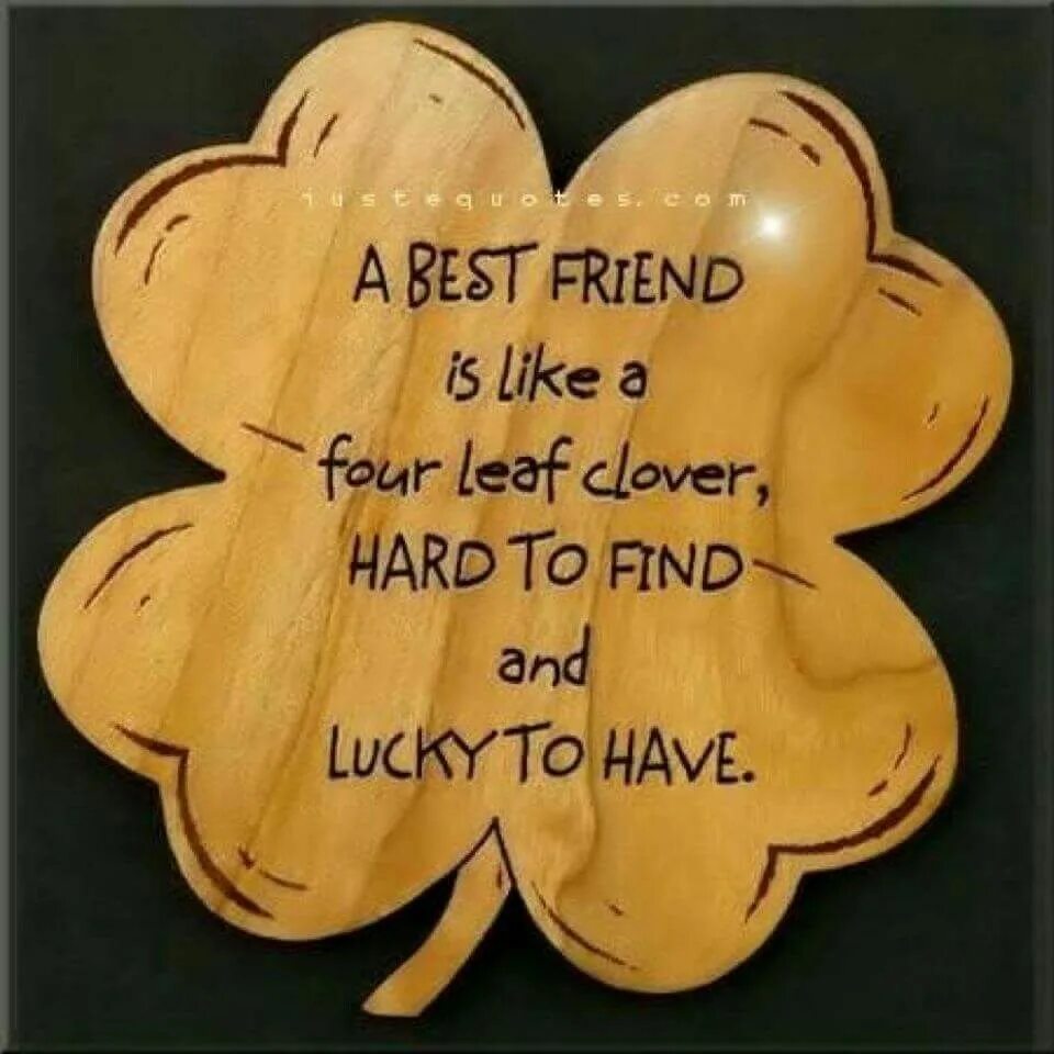 Цитаты про Клевер. Finding a four Leaf Clover is good luck. Find a four-Leaf. Best friends профиль like. Good friend should