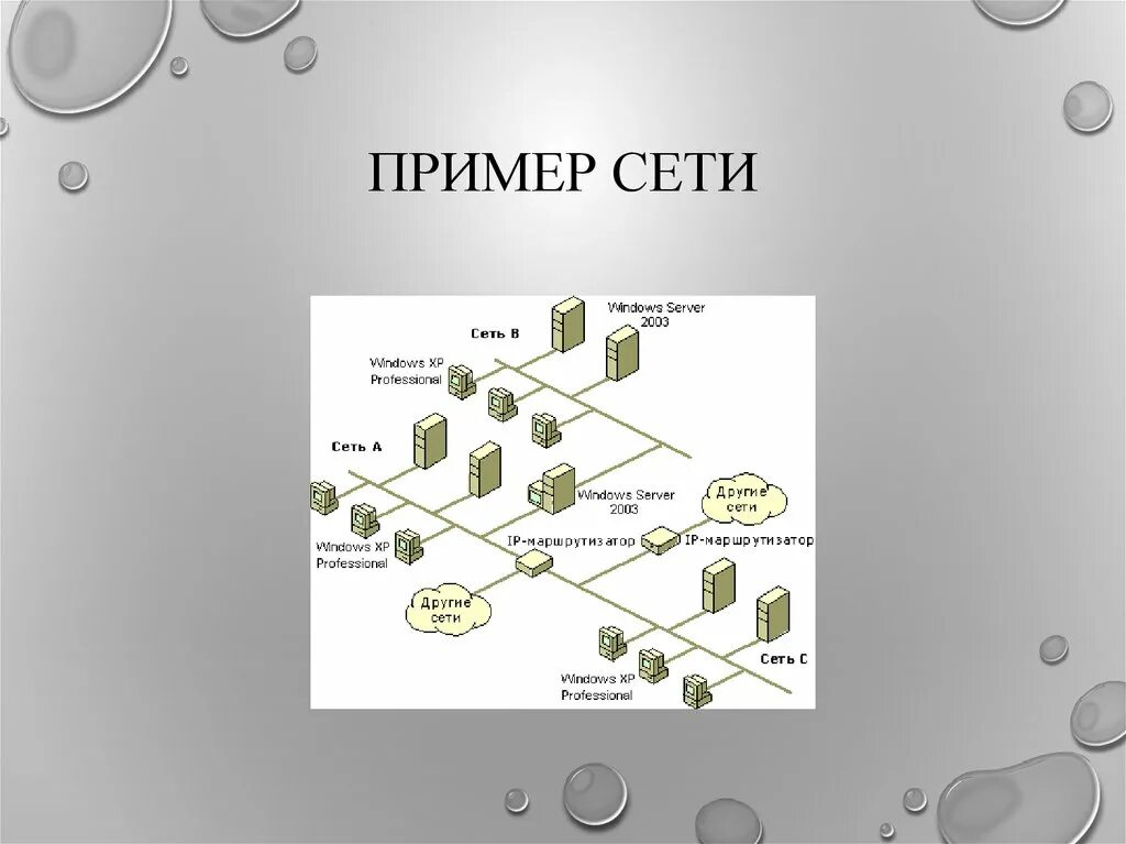 Сеть дика. Пример сети. Схема сети кафе. Пример сети ресторанов. Пример сети контактов.