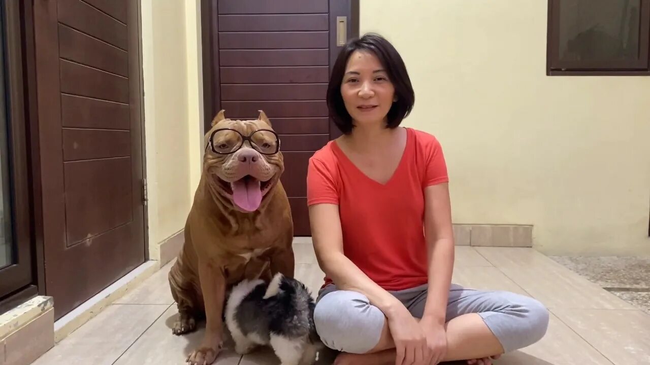 Самая красивая зоофилийка москвы. Lucah main sama anjing. Инстасамка с собакой. Video bokep hewan. Video bokep hewan.