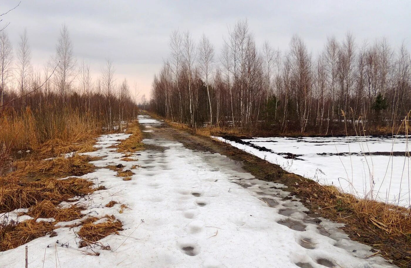 Последний снег. Последний снег в деревне апрель. Последний снег в лесу.