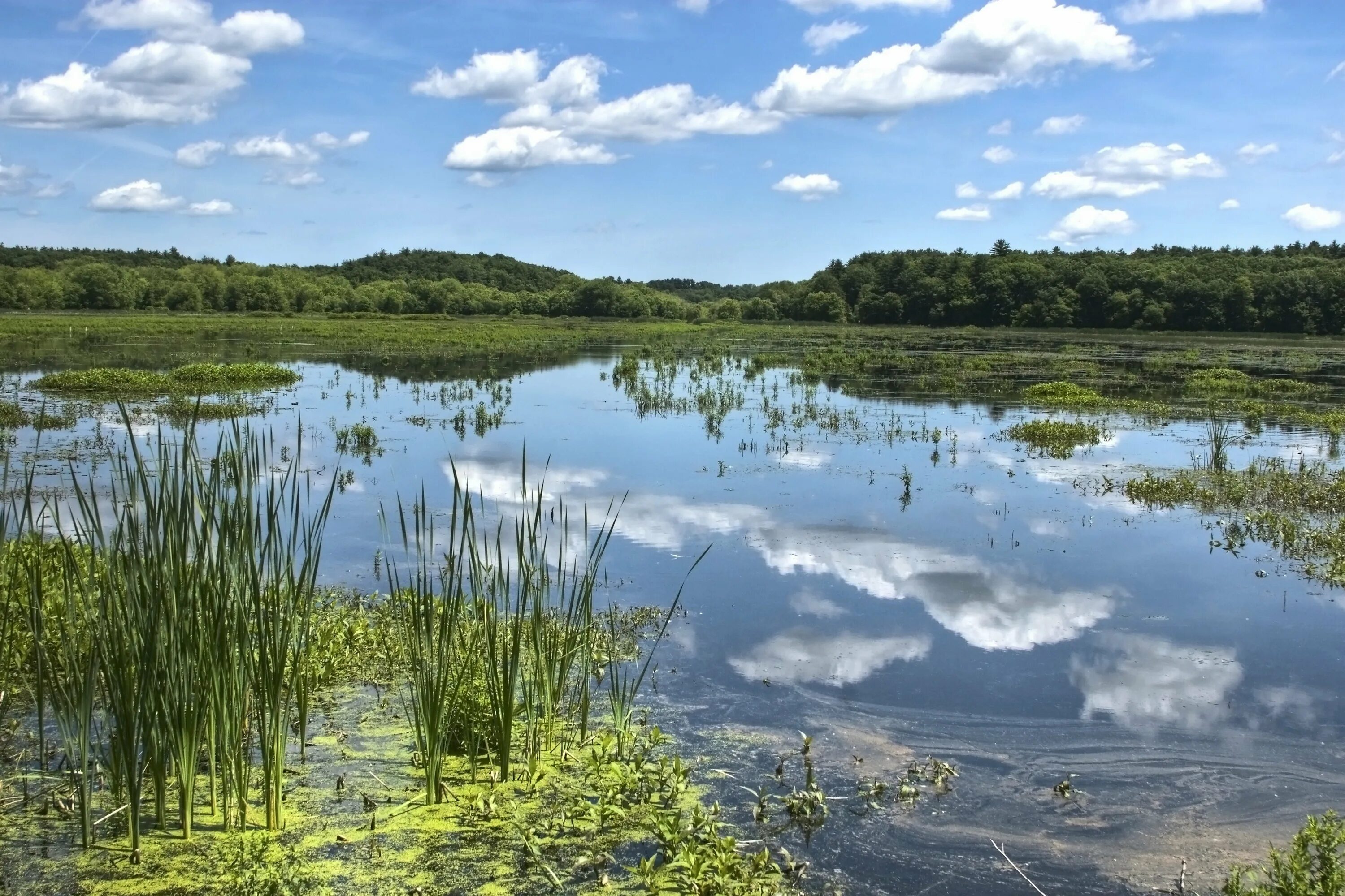 Водоемом является
