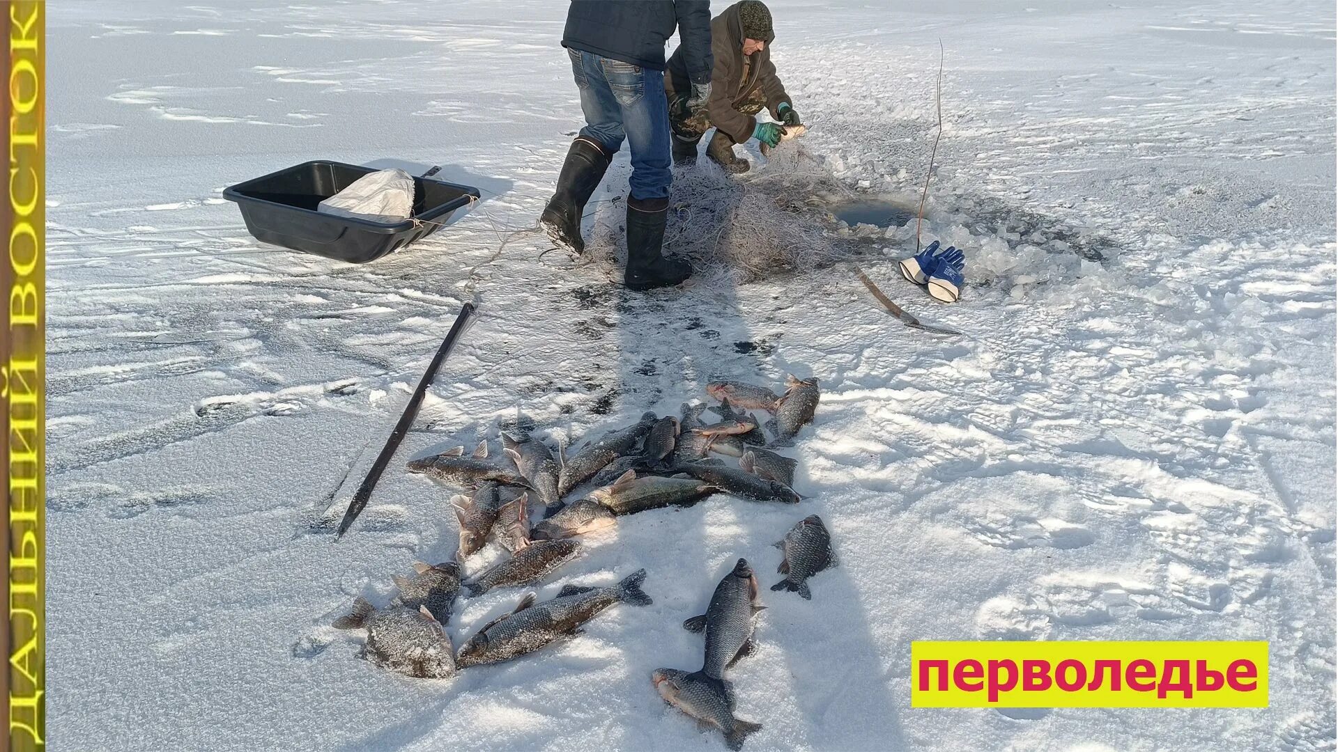 Ловлю рыбы на хапуги. Подледная рыбалка. Зимняя рыбалка сетями. Рыбаки на льду. Рыба на льду.