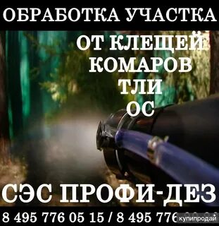 Дез сэс