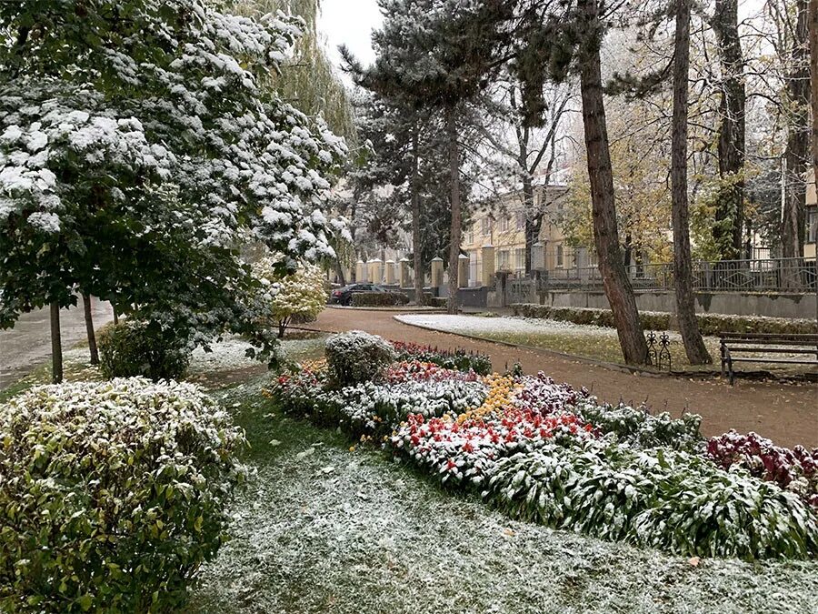 Погода в кисловодске в конце апреля. Что цветет в Кисловодске. Кисловодск осень 2022. Осенний Кисловодск 2022. Кисловодск парк март.