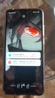 88005058795
